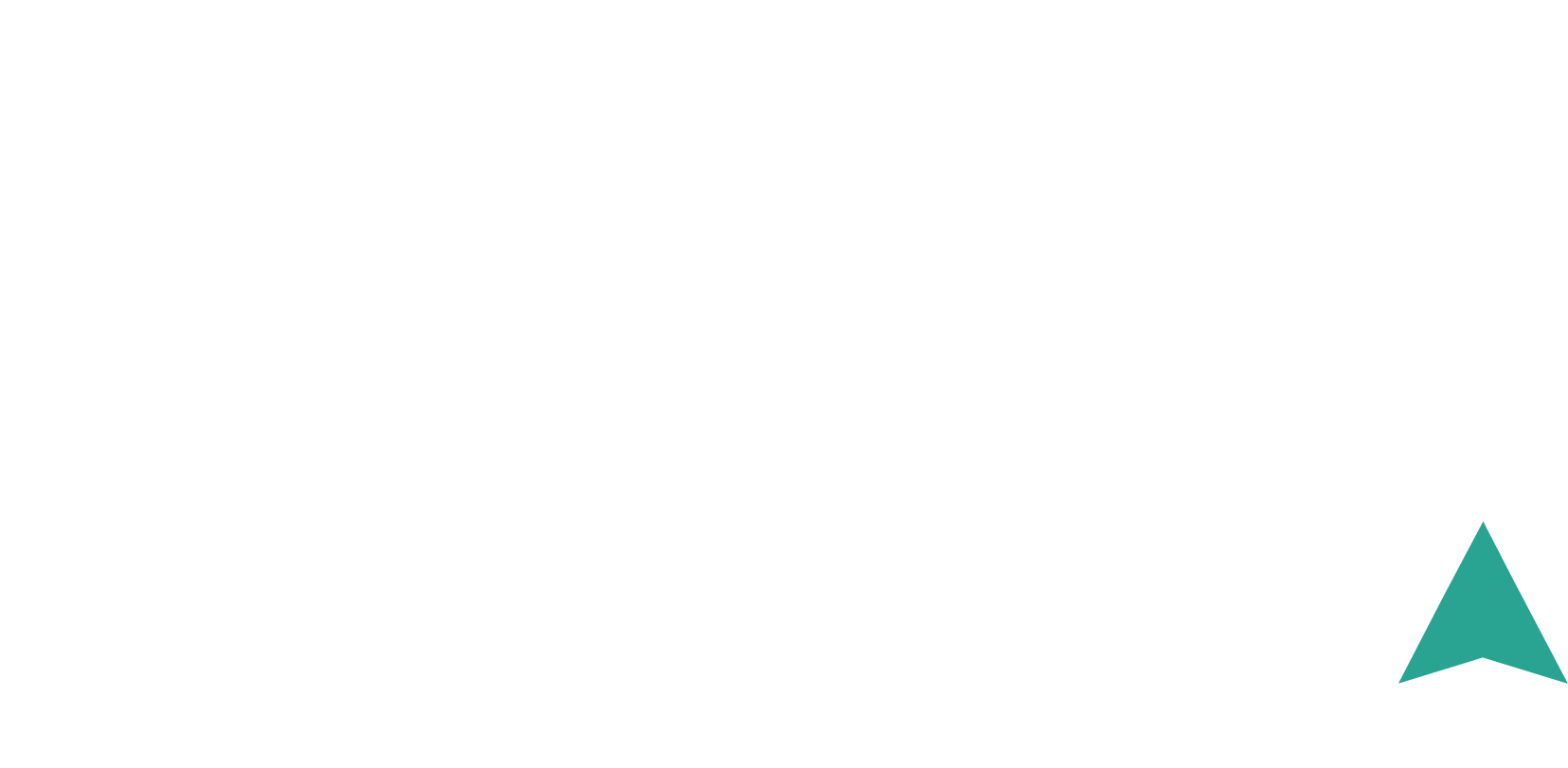 Market Spider